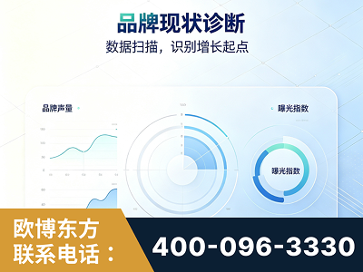 龙井-品牌现状诊断